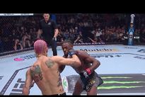 UFC 292: Стерлинг – О'Мэлли. Видео лучших моментов, бонусы турнира UFC 292: Стерлинг – О'Мэлли. Видео лучших моментов, бонусы турнира