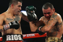 Видео боя: Брэндон Риос – Майк Альварадо III, HD 1080 Видео боя: Брэндон Риос – Майк Альварадо III, HD 1080