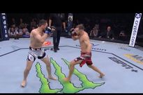UFC Fight Night 221: Ян - Двалишвили. Видео лучших моментов, бонусы турнира