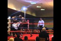 Видео боя: Шеннон Бриггс – Маурензо Смит Видео боя: Шеннон Бриггс – Маурензо Смит