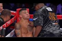 Видео боя: Матвей Коробов — Брайан Вера Видео боя: Матвей Коробов — Брайан Вера