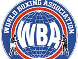 фото - Постановление WBA коснулось Сартисона, Головкина и Сенченко