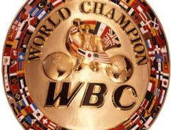 фото - WBC называет лауреатов: Виталий Кличко – лучший боец 2011 года