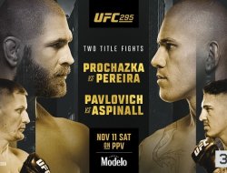 фото - UFC 295: Прохазка – Перейра. Где смотреть онлайн, когда начало трансляции
