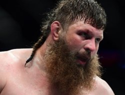 фото - Бой Роя Нельсона и Мэтта Митриона возглавит турнир Bellator 194