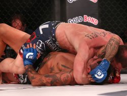 фото - Bellator 137: Хэлси победил Гроува, Дантас справился с Ричманом