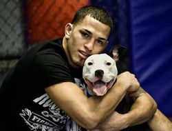 фото - (ММА + Видео) UFC on FOX 6: Энтони Петтис нокаутировал Дональда Серроне