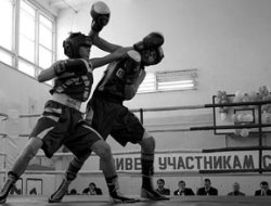 фото - В Госдуме России открыта выставка «Боксер - защитник Отечества»