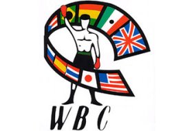 фото - У WBC поменялся логотип