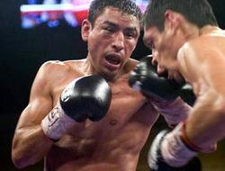 фото - Рафаэль Маркес надолго прописался в Golden Boy Promotions