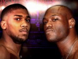 Глава Showtime Sports – о возможности боя Уайлдер–Джошуа фото - Глава Showtime Sports – о возможности боя Уайлдер–Джошуа