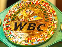 фото - Адамес против Нурсултанова: WBC отложил торги