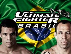фото - (ММА) Белфорт сломал руку и не будет драться с Сильвой на UFC 147