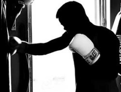 фото - (ММА + Фото) UFC 156: открытые тренировки Алдо, Силвы, Эванса и Ногейры