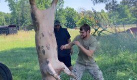 Скандалист UFC дебютирует в легчайшем весе против Нурмагомедова Скандалист UFC дебютирует в легчайшем весе против Нурмагомедова