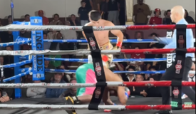 Новицкий нокаутировал Сегарру, Плантич пообещал фанам Канело Новицкий нокаутировал Сегарру, Плантич пообещал фанам Канело