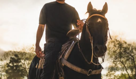 «Не знаю, что с ним происходит». Ортега сорвал бой с Евлоевым «Не знаю, что с ним происходит». Ортега сорвал бой с Евлоевым