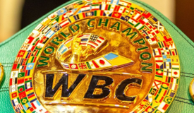 Адамес против Нурсултанова: WBC отложил торги