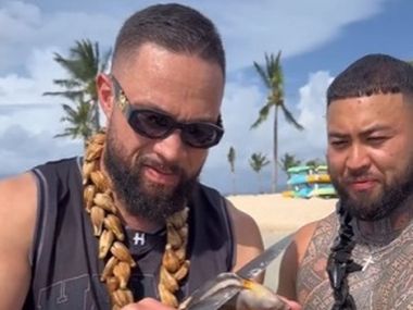 Усик-Дюбуа 2. Паркер оценил шансы боксёров на победу в реванше - фото