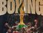 Прямая трансляция: Гран-при WBC. 1/16 финала в супертяжёлом весе. Смотреть онлайн Прямая трансляция: Гран-при WBC. 1/16 финала в супертяжёлом весе. Смотреть онлайн