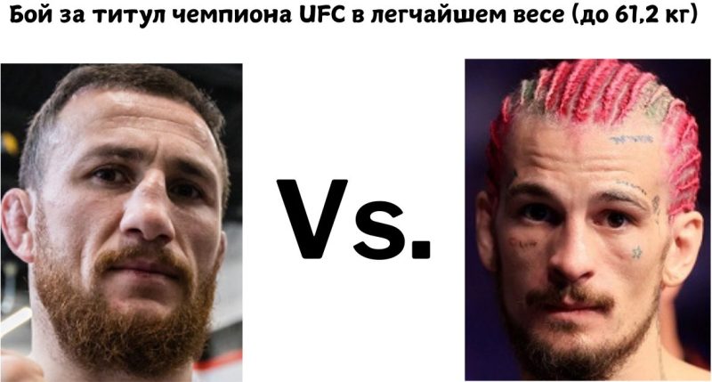 Мераб Двалишвили — Шон О`Мэлли