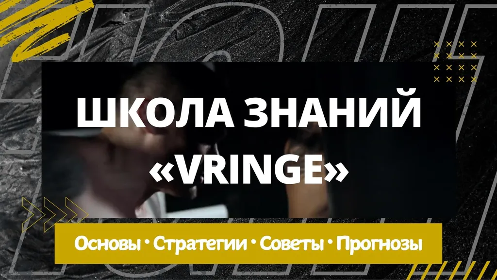 Школа знаний Vringe