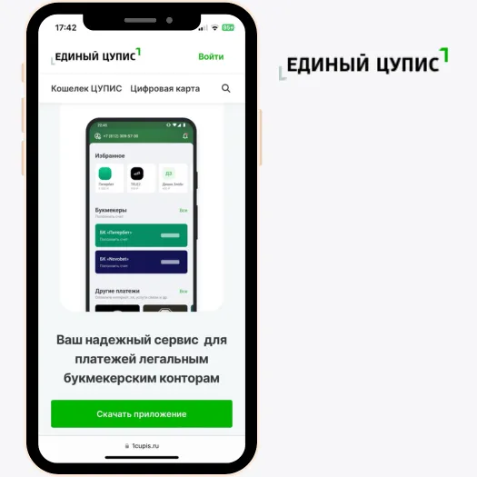 процесс регистрации через ЕЦУПИС