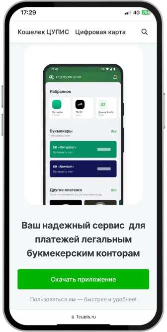 Единый ЦУПИС