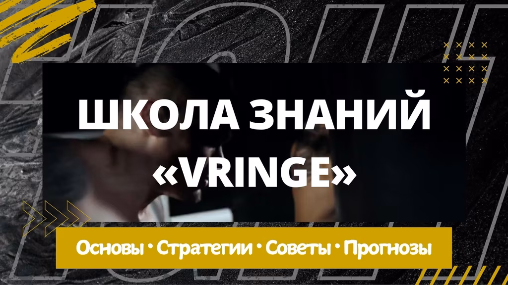 Школа знаний Vringe