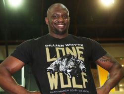 фото - Диллиан Уайт готов драться с Нганну — хочет титул UFC