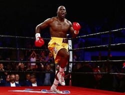 фото - Адонис Стивенсон вышел из комы — подруга боксёра