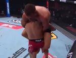 Де Риддера остановили. Реакция бойцов UFC