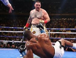 фото - Эксперт — о том, что Джошуа якобы продолжит карьеру даже в случае поражения Руису