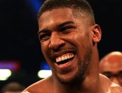 фото - Джошуа не хочет, чтобы Уайлдер забрался к нему в ринг