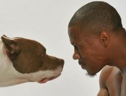 фото - Бандрейдж готов спустить на Котто всех псов