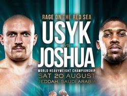 фото - Усик – Джошуа 2: первые слова после официального объявления боя