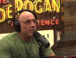 фото - Роган предостерёг Пола: «Если бы не это, он побил бы больше бойцов»