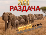 vRINGe.com подводит итоги 2020 года: выбор редакции и читателей