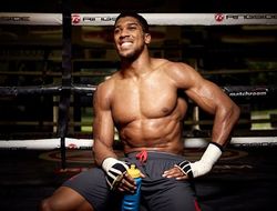 фото - Херн рассказал, в какой очерёдности Джошуа будет драться с Уайлдером, Пулевым и Ортисом