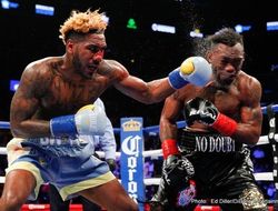 фото - Вызов принят — Эрисланди Лара готов объединить титулы с Джарреттом Хёрдом