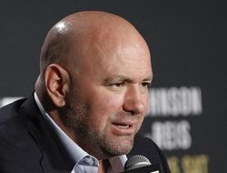 фото - Дэйна Уайт рвётся в бокс: Мы лучшие в том, что мы делаем