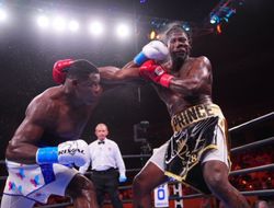 фото - Бой Луис Ортис – Чарльз Мартин. Итоговая статистика ударов