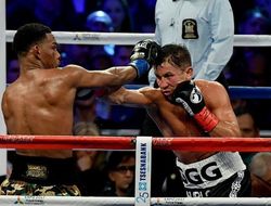 фото - Головкин vs. Джейкобс: слова после боя — видео от vRINGe.com