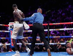 фото - Уайлдер-Ортис 2: обнародованы цифры PPV и проданных билетов