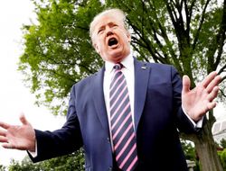 фото - Коронавирус нипочём. Трамп поздравил UFC и Уайта с возвращением — видео