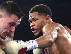 фото - Хэйни должен драться с Ломаченко, а не с Камбососом — Стивенсон