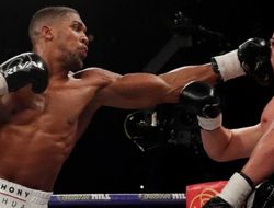 фото - Отныне Джошуа хочет «быть жёстким и устраивать битвы»: вероятно, с Уайлдером