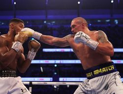 фото - Усик побьёт Фьюри? Не уверен — Отто Валлин