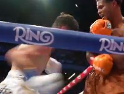 фото - Стивенсон рассказал, потряс ли его Сепеда в 3 раунде