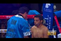 Видео боя: Джонни Гонсалес — Джесси Росалес